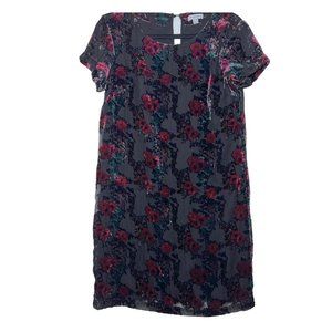 Carolina Belle Floral Velvet Embroidered‎ Shift Dress